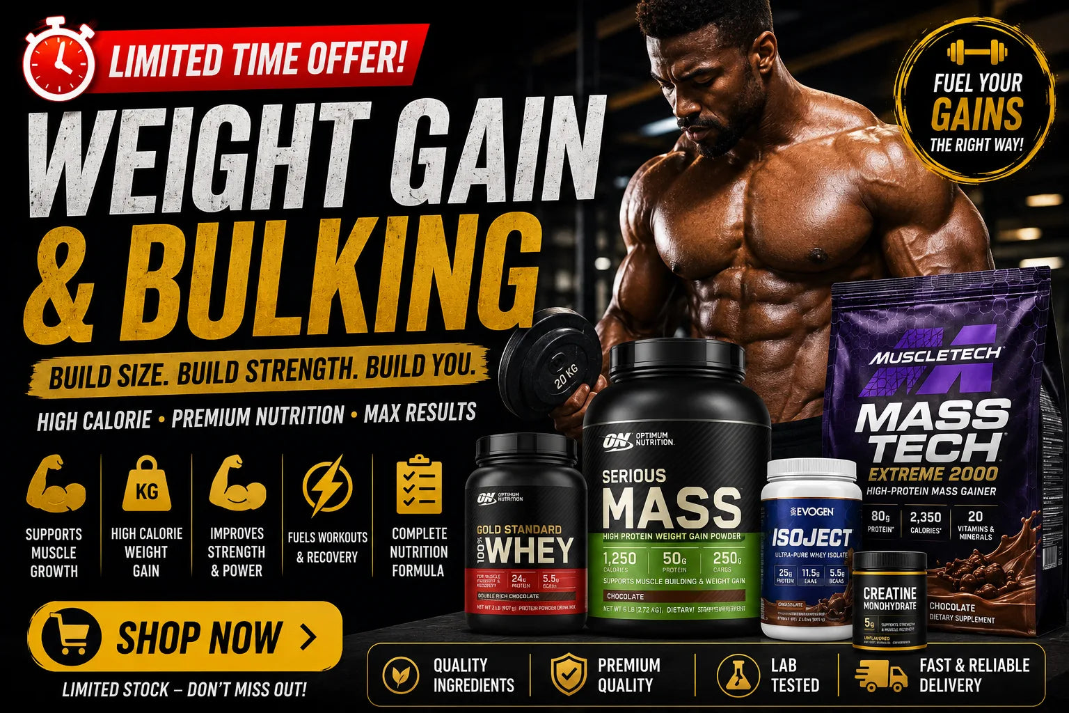 WEIGHT GAIN/BULKING