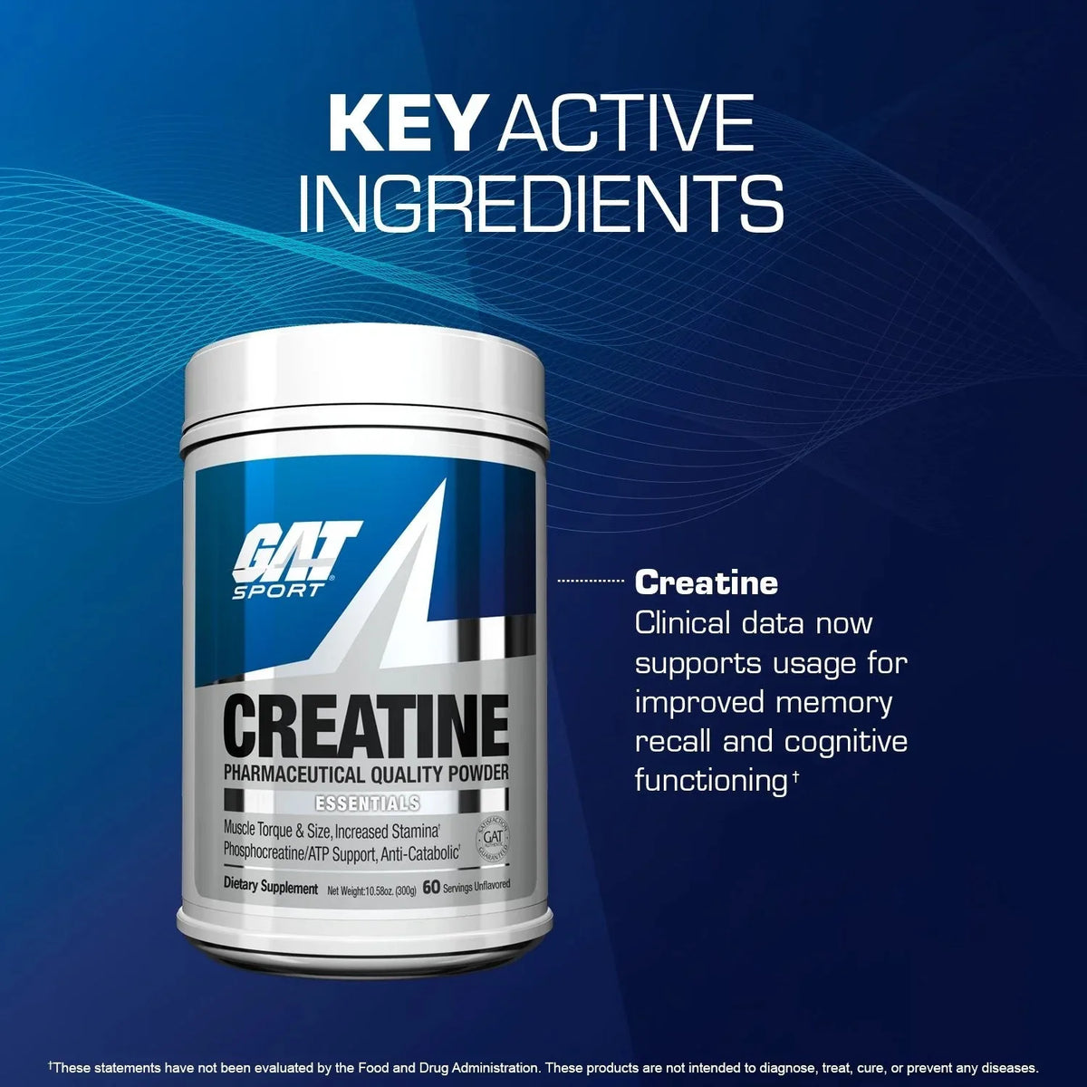 Gat Sport Creatine Monohydrate 300g Powder 60servings