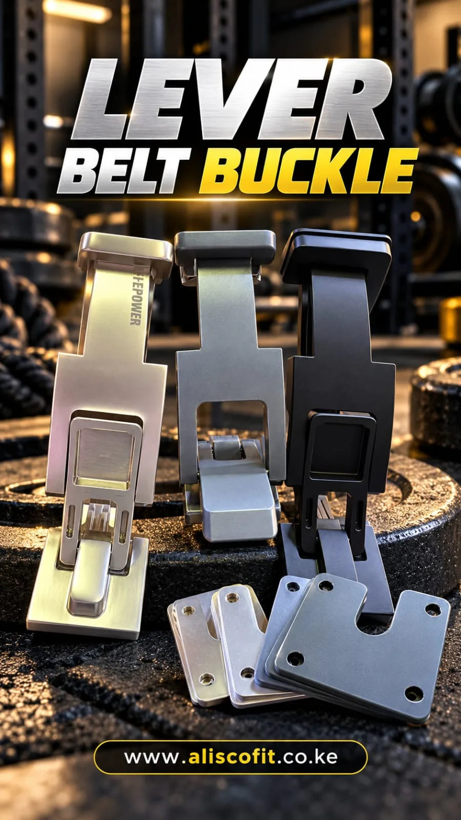 Belt buckle Silver & Black