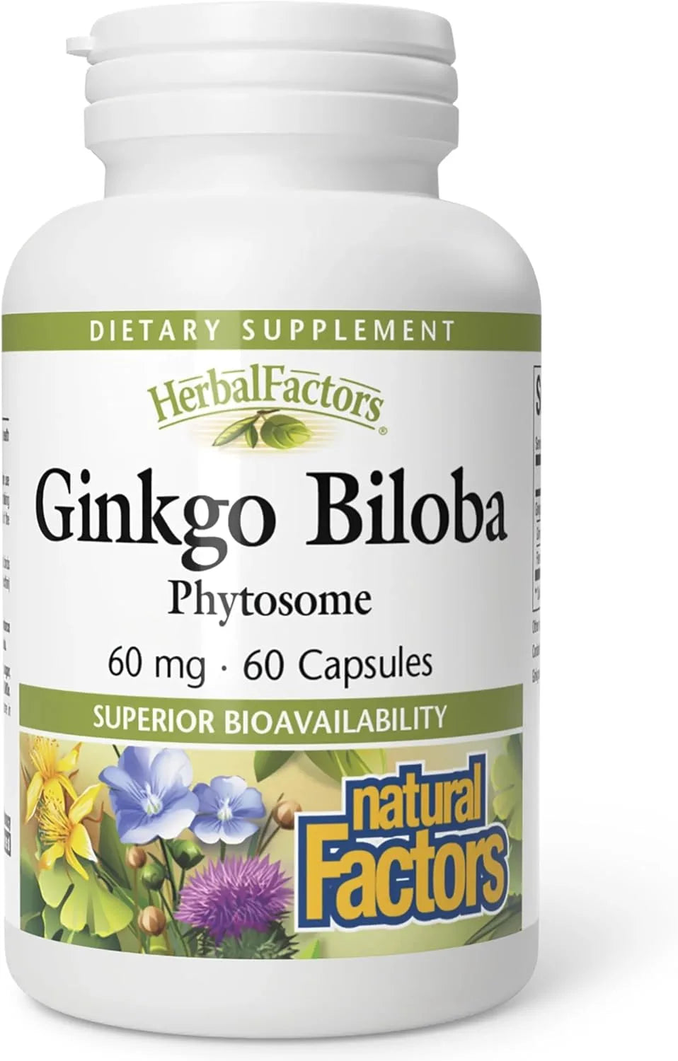 NATURAL FACTORS Ginkgo Biloba Phytosome 60 mg (Supports Circulation and Brain Health)