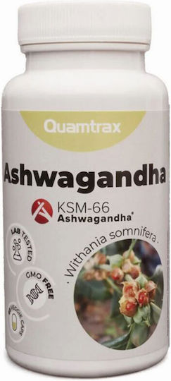 Quamtrax Ashwagandha 60 capsules